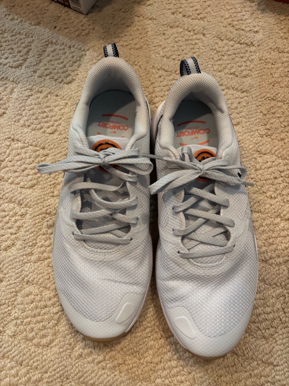Nike Light Gray City Rep TR
